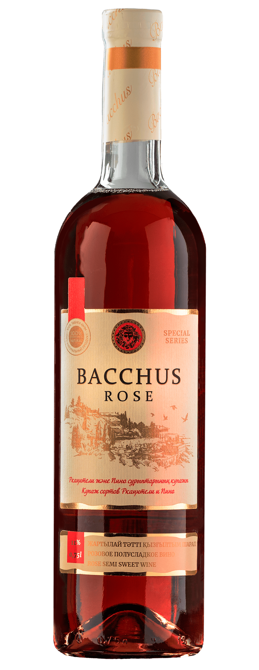 Bacchus rose 