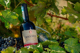 Контроль качества