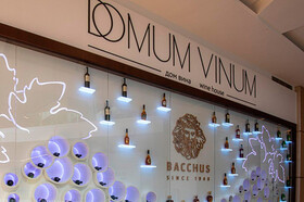 Domum Vinum рад встрече!