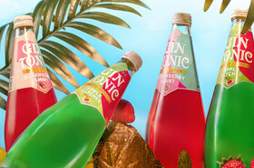Новые вкусы Gin Tonic — Strawberry&Mint и Apple&Lychee